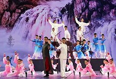 参与武术表演